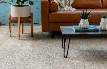 Carpet carpet | Hernandez Wholesale Flooring