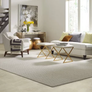 Living Room Area Rug | Hernandez Wholesale Flooring