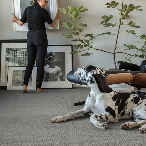 AfterCarpetInstall Pet perfect carpet | Hernandez Wholesale Flooring