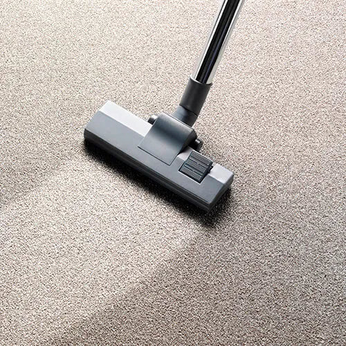 CarpetCareBlock Carpet care | Hernandez Wholesale Flooring