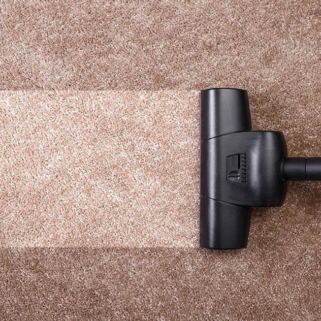 Carpet care | Hernandez Wholesale Flooring